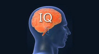 IQ