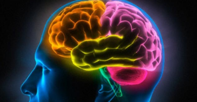 Phan-biet-cac-loai-thuc