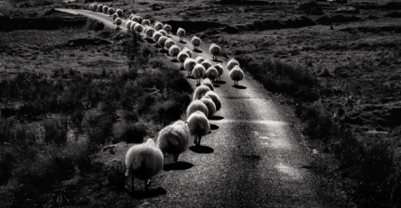 van-de-cua-moi-van-de