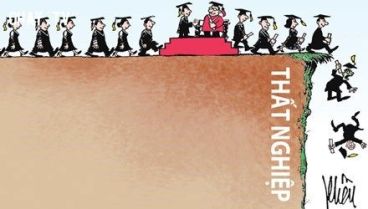 cu-nhan-tien-si-that-nghiep-vi-dau